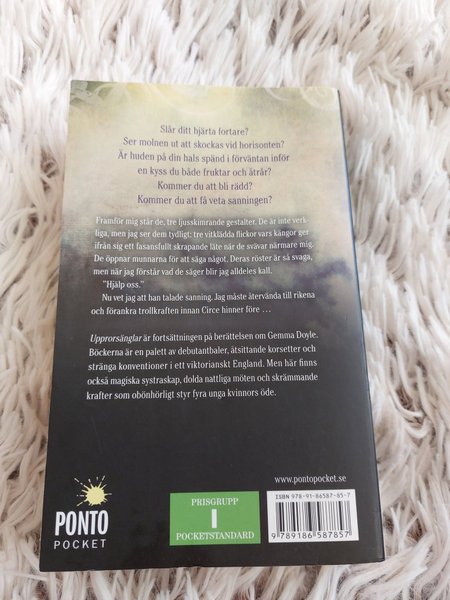 galleryimage 2 zoomed in