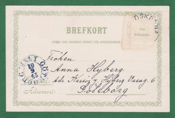 galleryimage 2 zoomed in