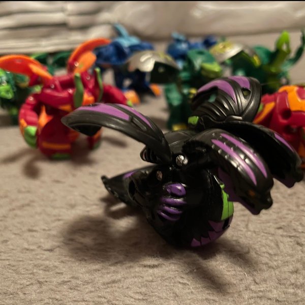 galleryimage 3