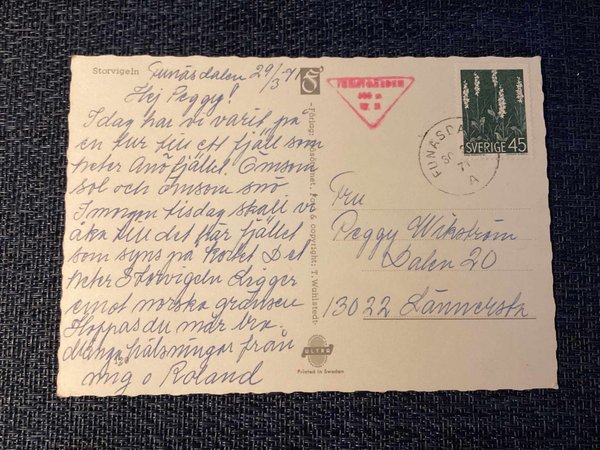 galleryimage 2 zoomed in