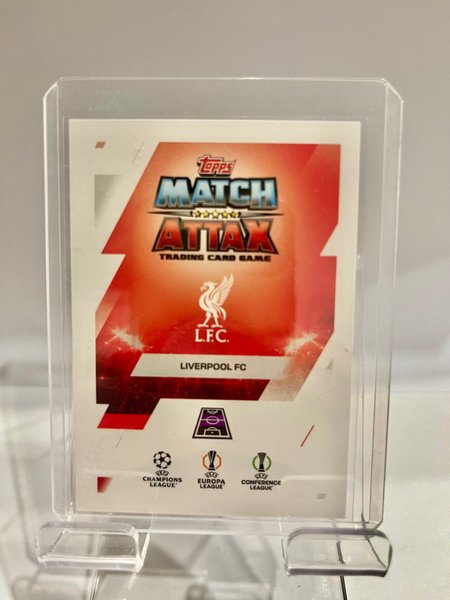 galleryimage 2 zoomed in