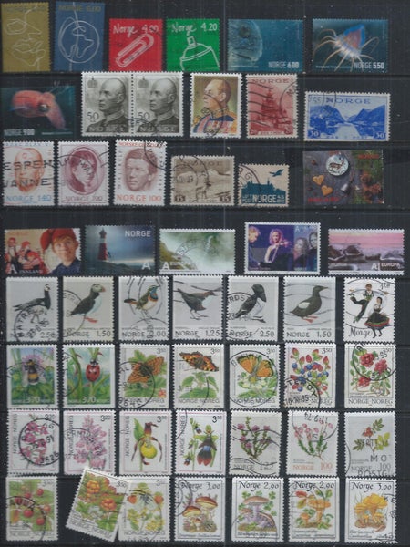 galleryimage 3