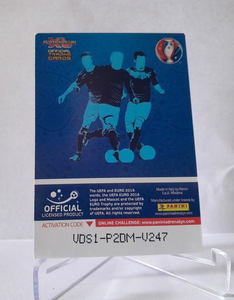 galleryimage 2 zoomed in