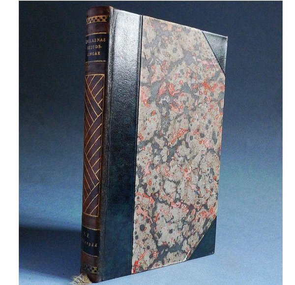 galleryimage 2 zoomed in