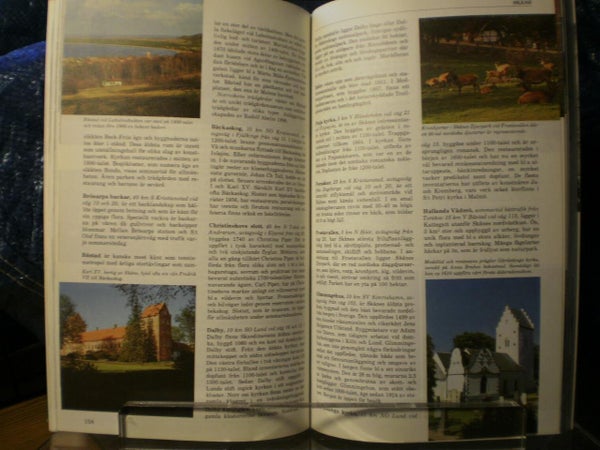 galleryimage 2