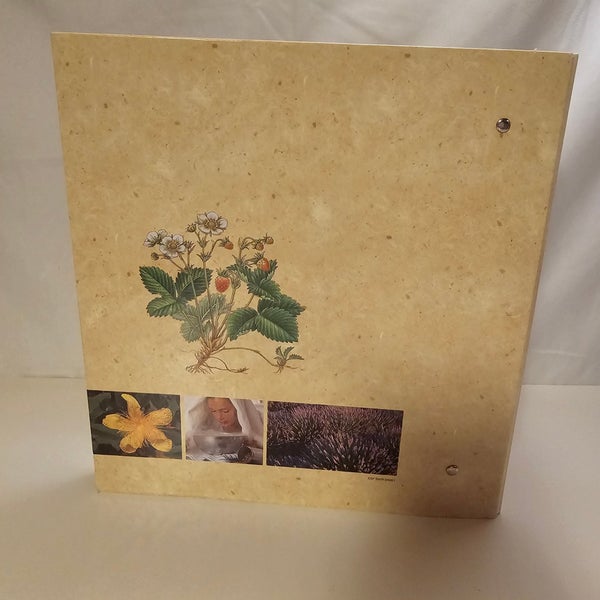 galleryimage 3