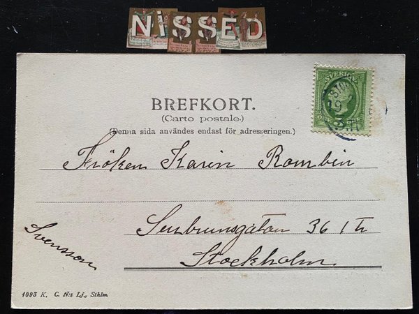 galleryimage 2 zoomed in