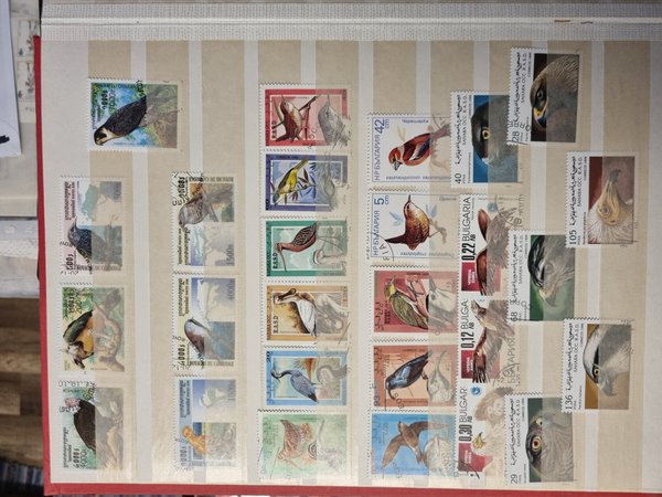 galleryimage 2 zoomed in