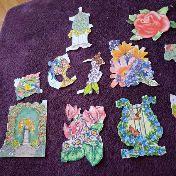 galleryimage 2
