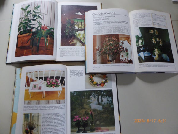 galleryimage 3