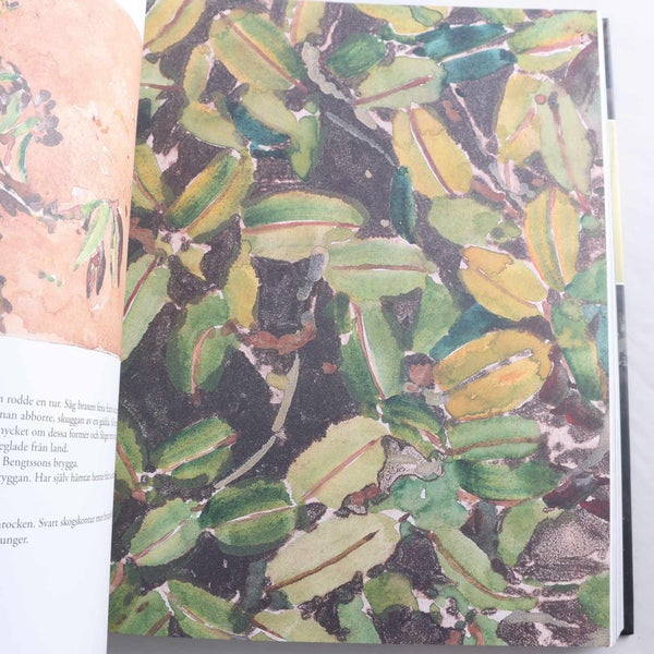 galleryimage 2