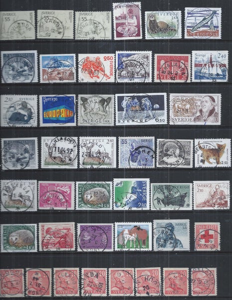 galleryimage 2