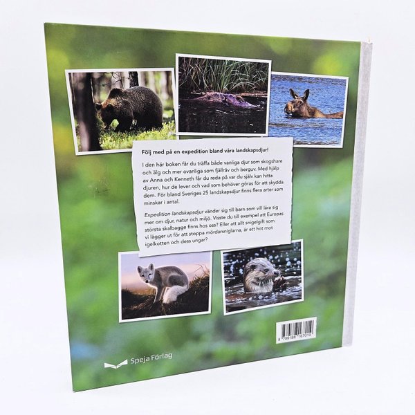 galleryimage 2 zoomed in