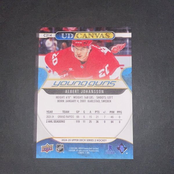 galleryimage 2 zoomed in