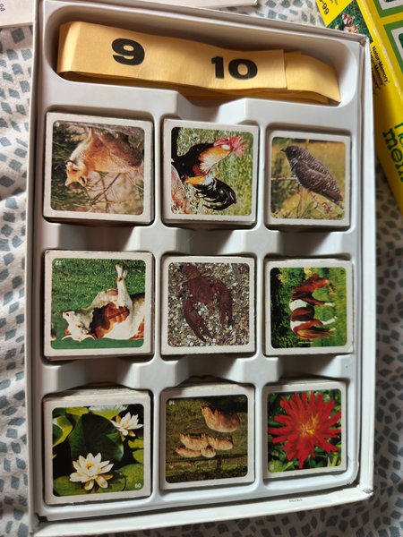 galleryimage 3