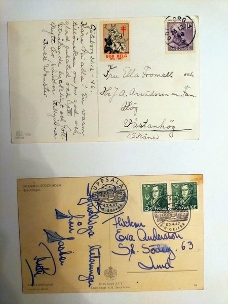 galleryimage 2 zoomed in