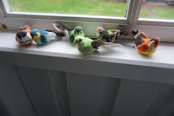 galleryimage 2