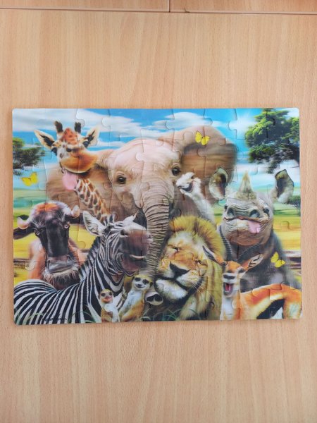 galleryimage 2