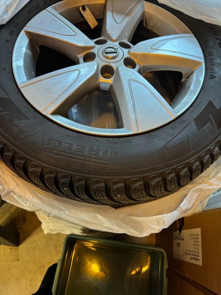 galleryimage 2 zoomed in