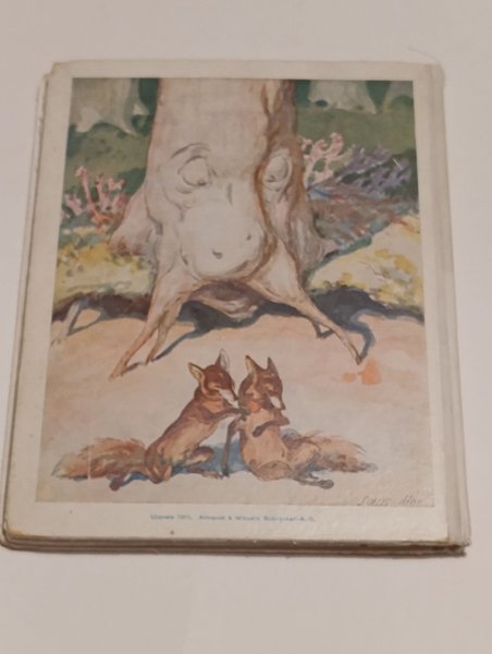 galleryimage 3