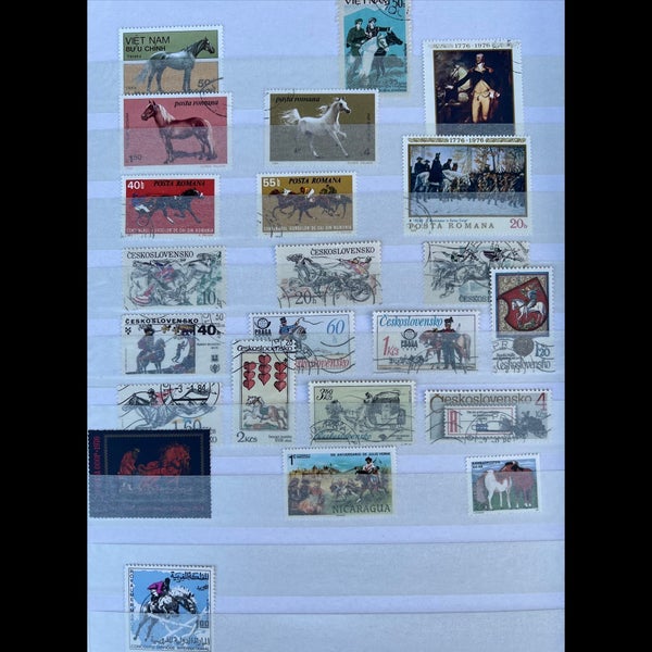 galleryimage 2