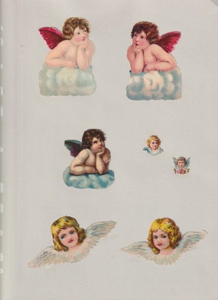 galleryimage 3