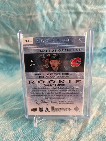 galleryimage 2 zoomed in