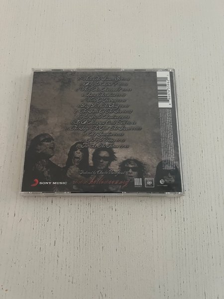 galleryimage 2 zoomed in