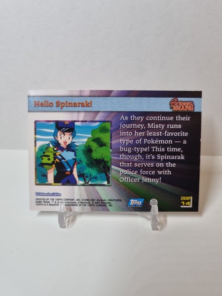 galleryimage 2