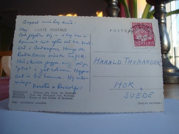 galleryimage 2 zoomed in