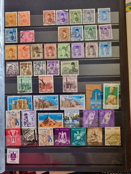 galleryimage 3