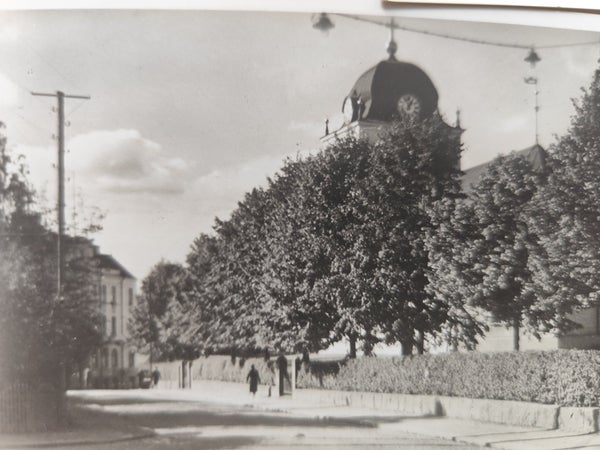 galleryimage 2