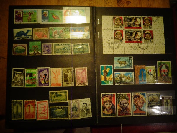 galleryimage 3