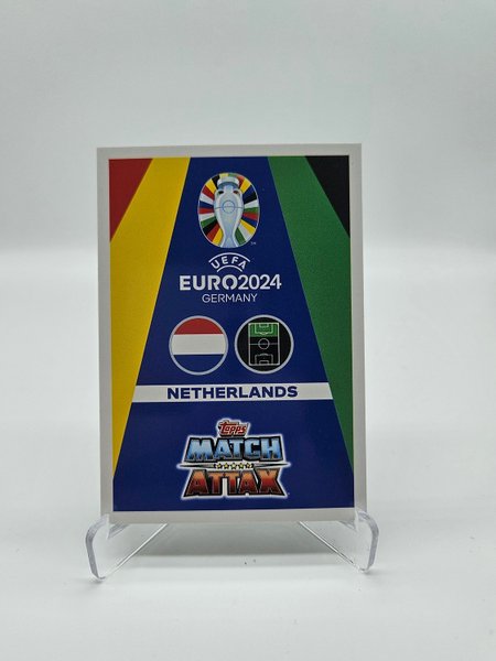 galleryimage 2 zoomed in