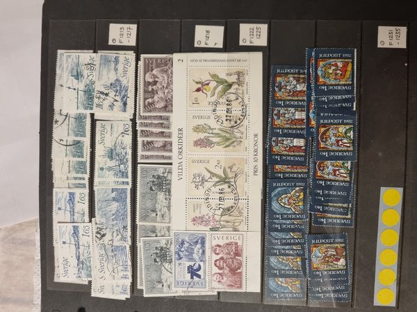 galleryimage 2 zoomed in