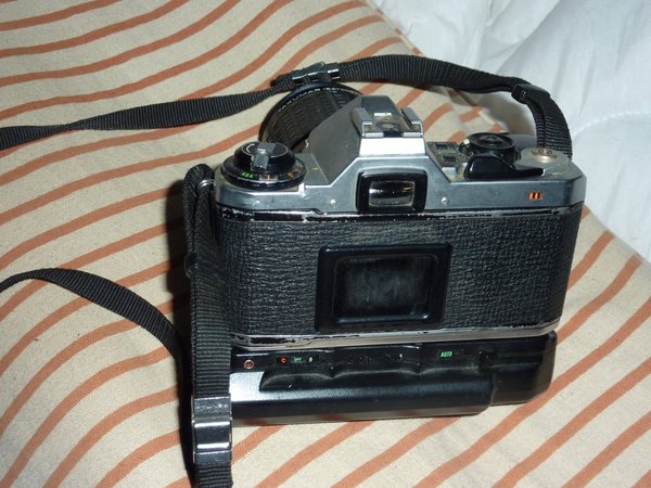 galleryimage 3