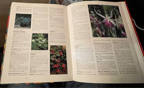 galleryimage 2