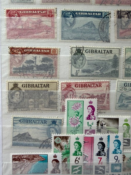galleryimage 3