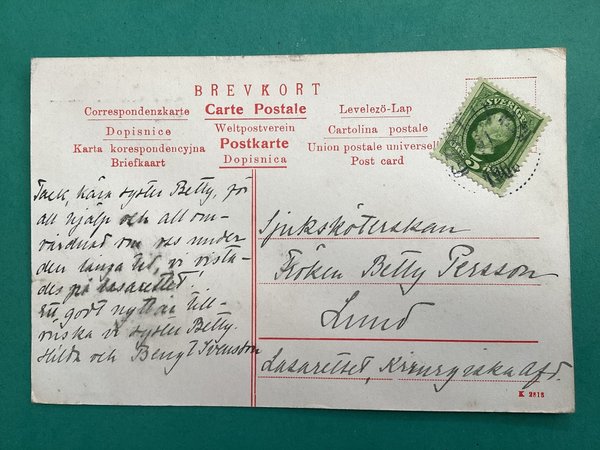 galleryimage 2 zoomed in