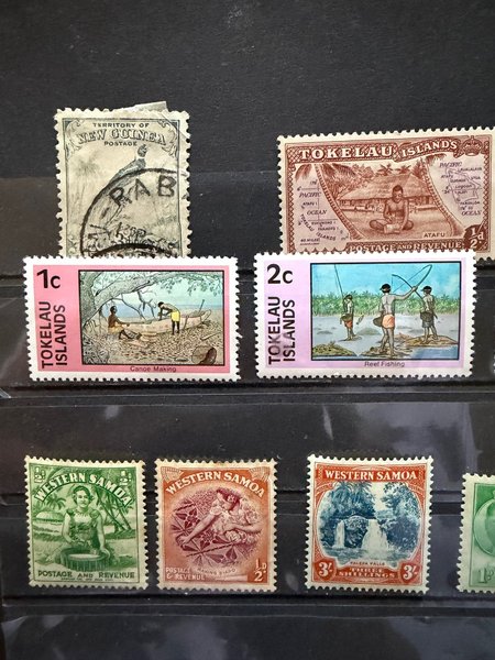 galleryimage 2