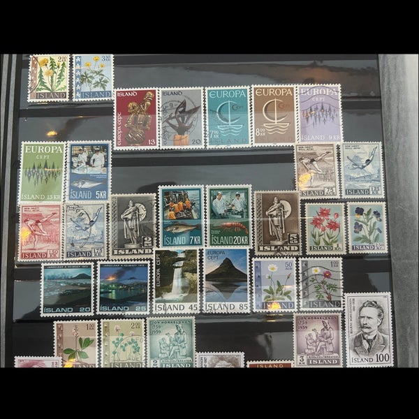 galleryimage 3