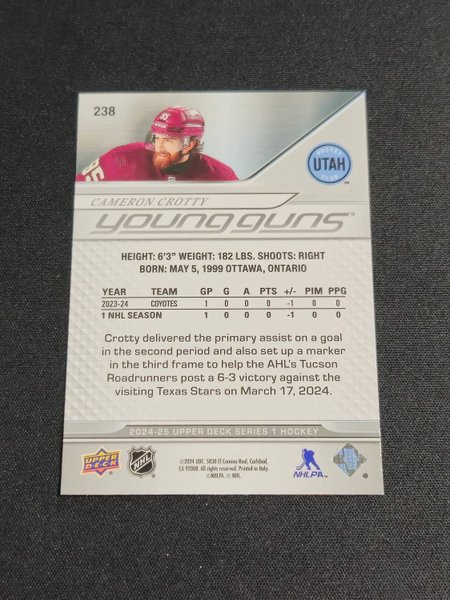 galleryimage 2 zoomed in