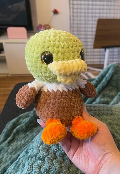 galleryimage 2 zoomed in