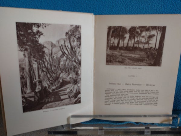 galleryimage 3