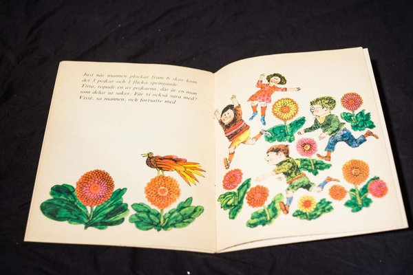 galleryimage 2 zoomed in