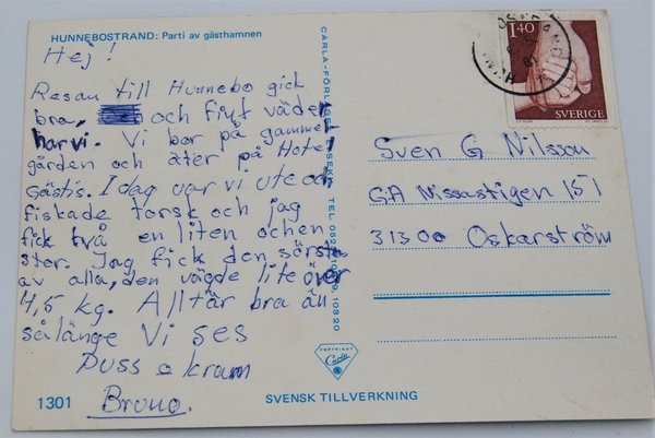 galleryimage 2 zoomed in