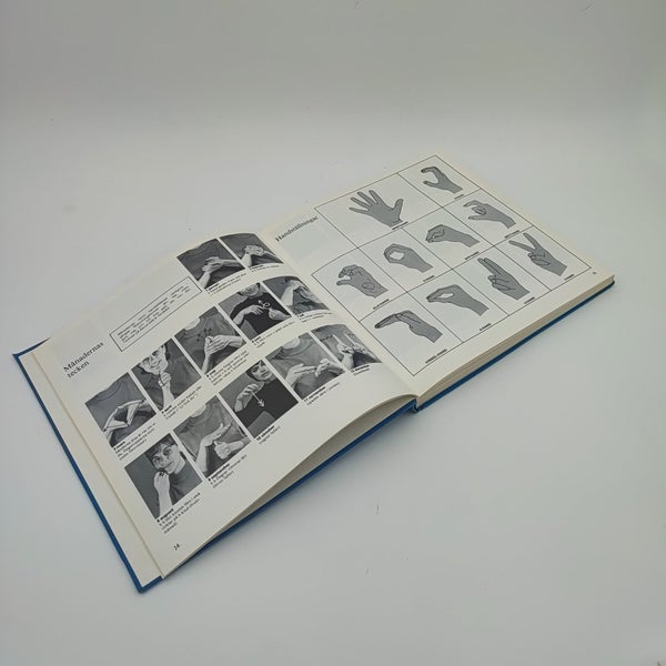 galleryimage 3