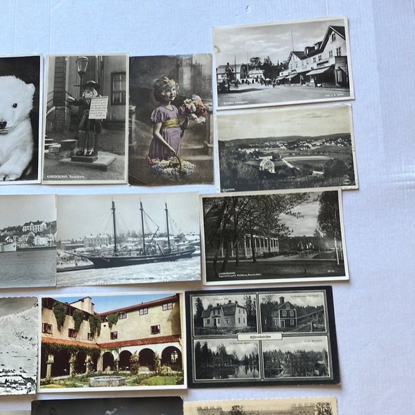 galleryimage 3