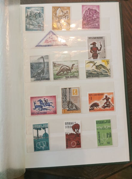 galleryimage 2
