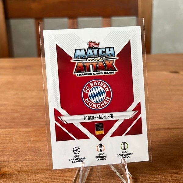 galleryimage 2 zoomed in